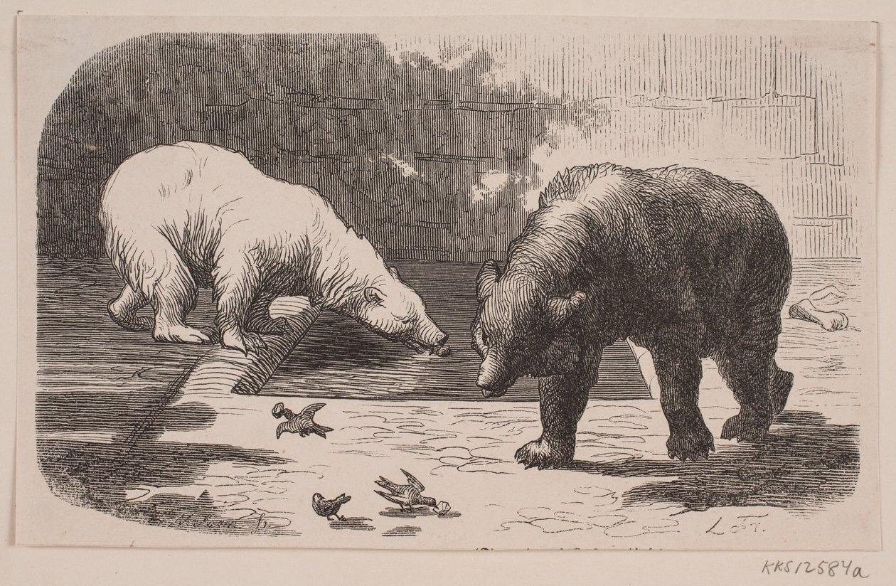 Beren in Jardin des Plantes door J.C. Nielsen