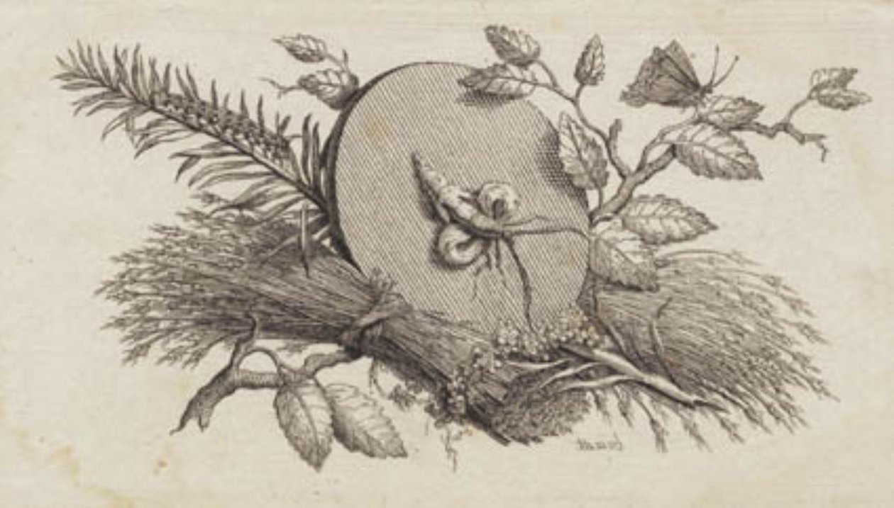 Een cirkelvormige schijf tussen bladeren en insecten door J.F. Clemens