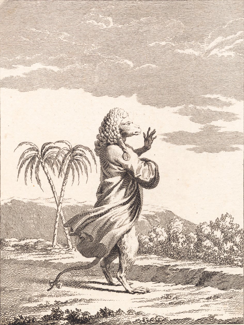 Een martiniaanse aap door J.F. Clemens
