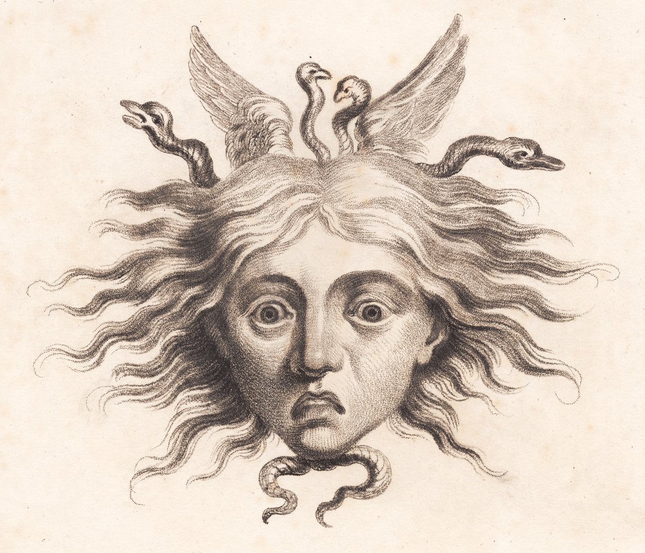 Medusahoofd door J.F. Clemens
