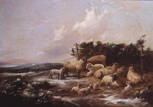 Het lammerseizoen door J. Duvall
