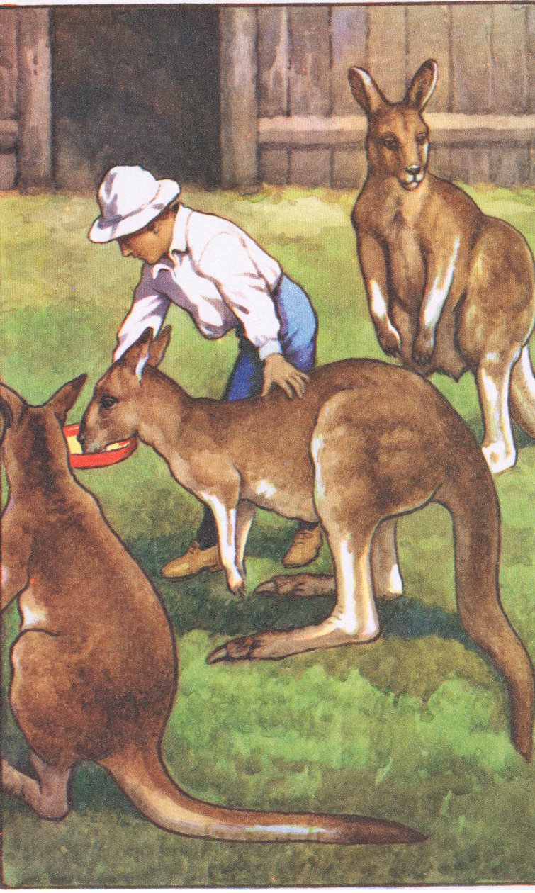 Australische jongen, uit MacMillan schoolposters, ca. 1950-60s door J. Macfarlane