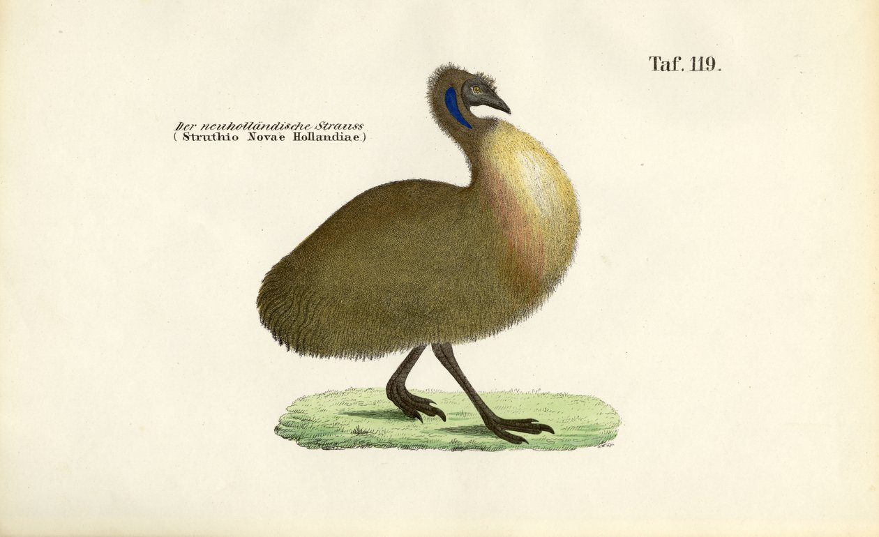 Emoe door J. W. Tenhaeff