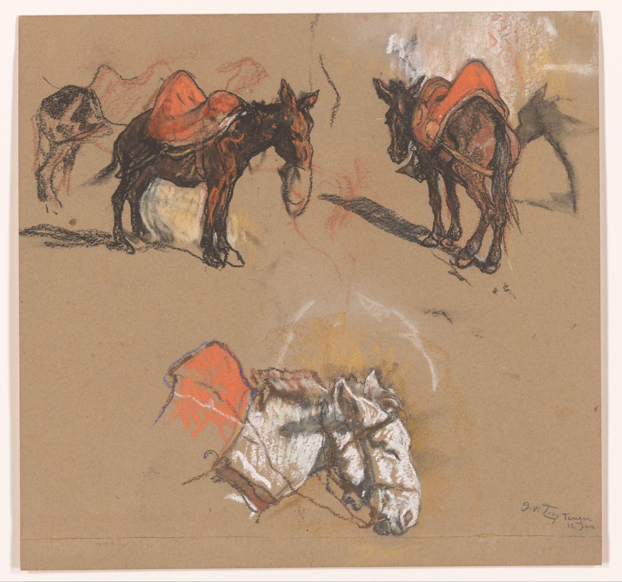 Studies van ezels en een muildier op de Grote Markt te Tanger door Jac van Looij (signed by artist)