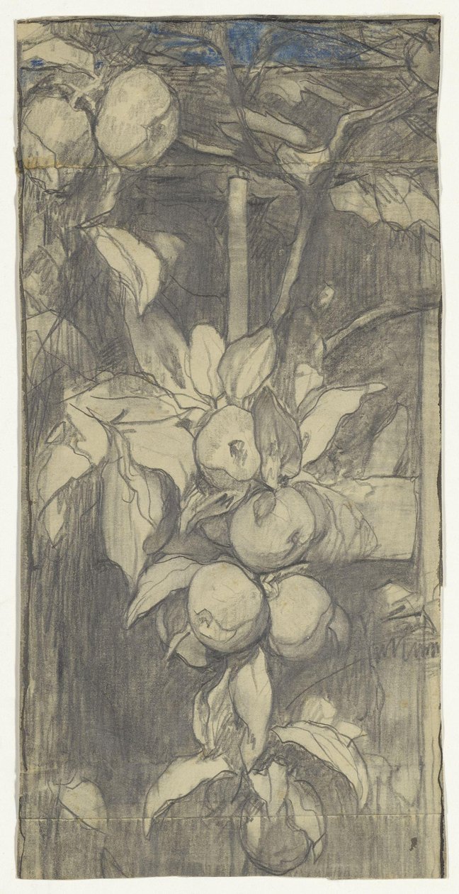 Tros Keizer-Alexander-appels door Jac van Looij
