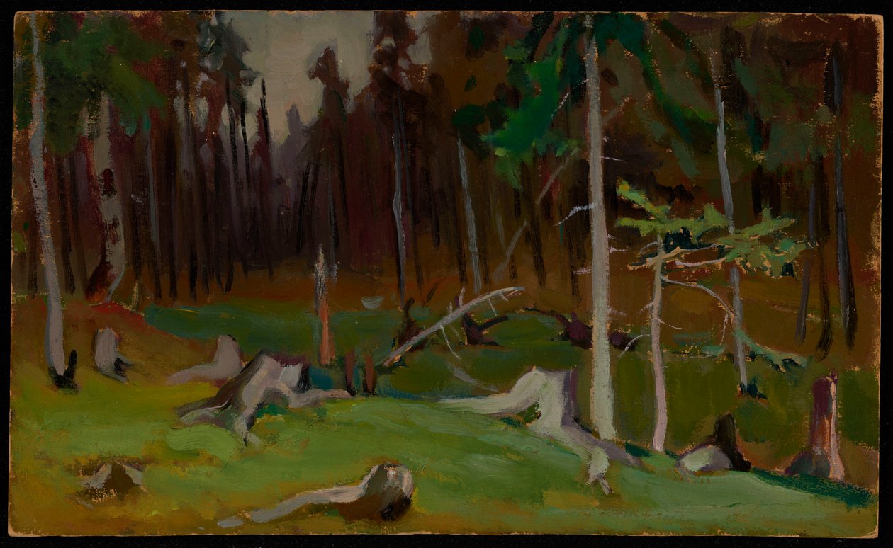 Een open plek in het bos door Jacek Malczewski
