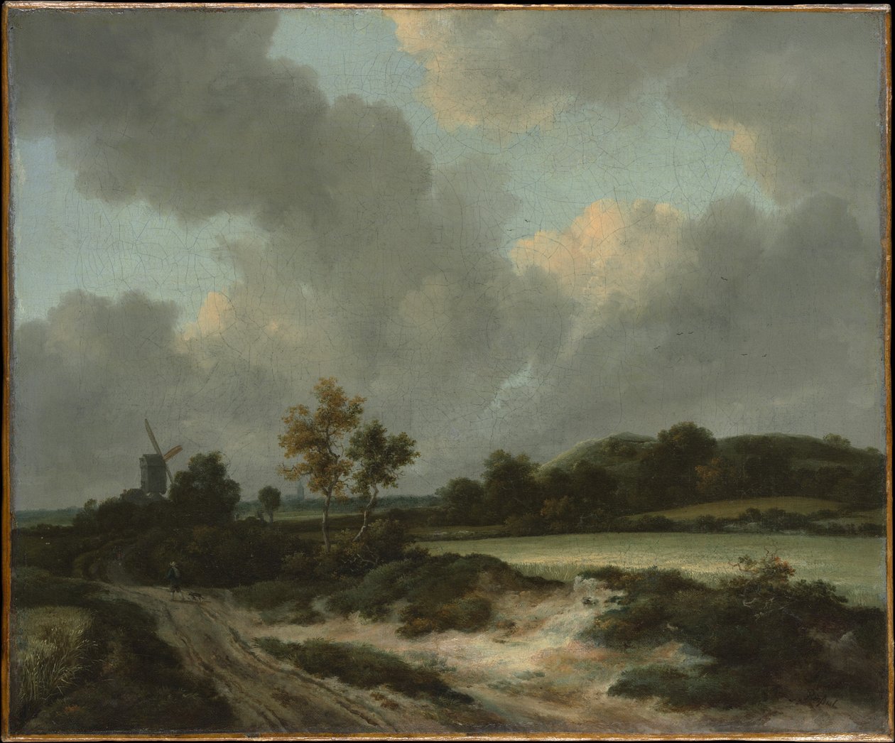 Graanvelden door Jacob van Ruisdael