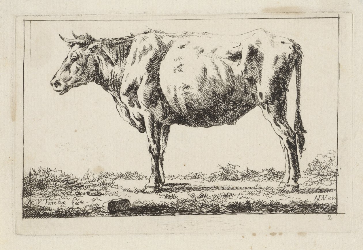 Staand rund, naar links door Jacob Elias van Varelen