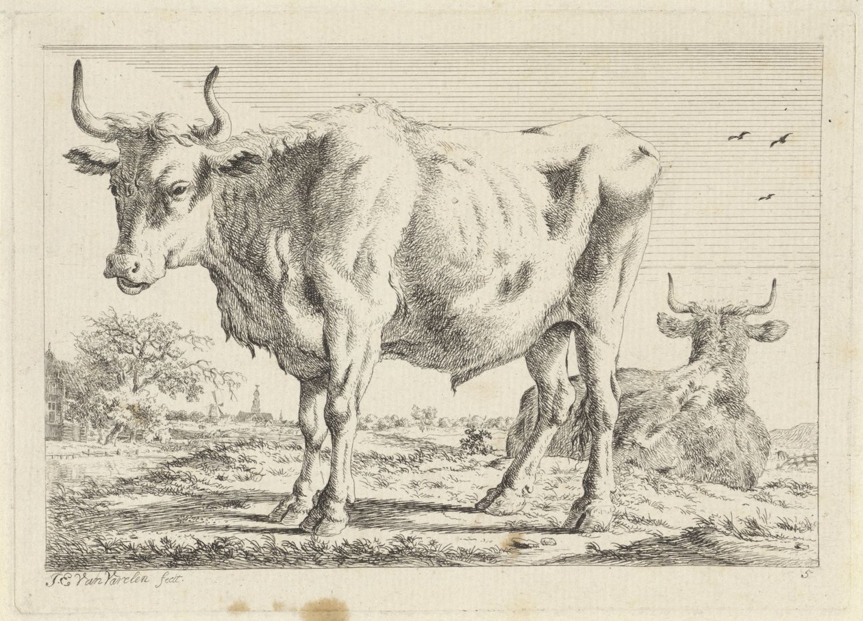 Staande en liggende os door Jacob Elias van Varelen