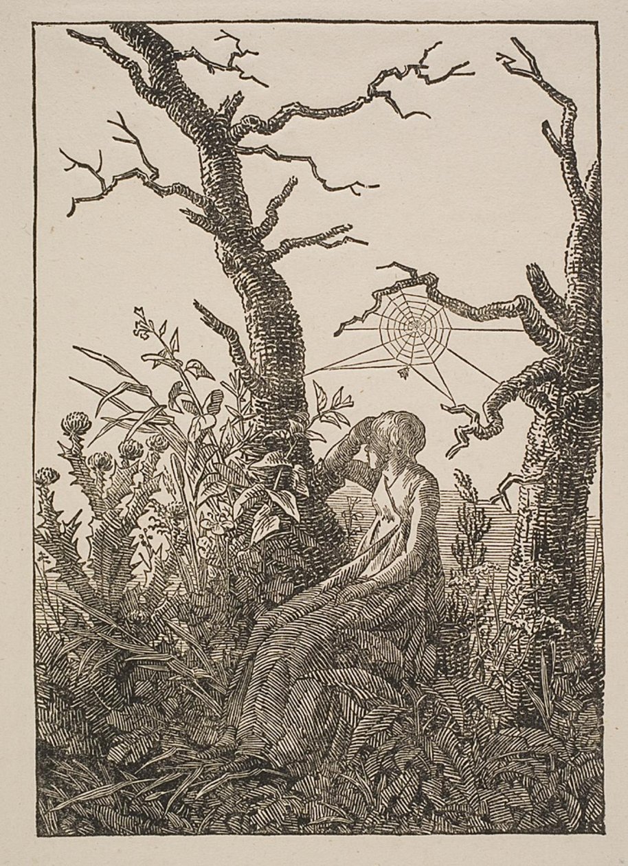 Melancholie. De vrouw met het spinnenweb door Jacob Friedrich