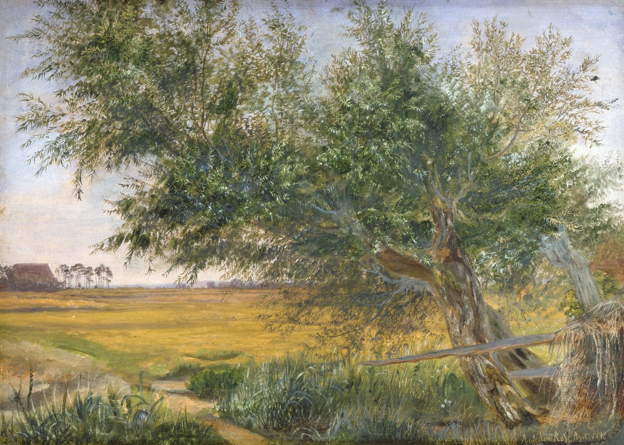 De oude boom, 1842 door Jacob Gensler