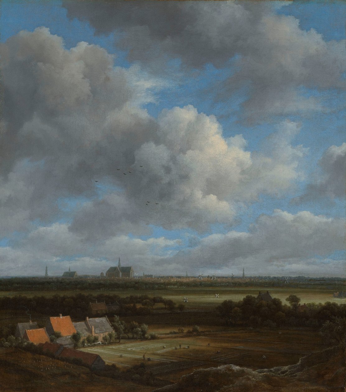Gezicht op Haarlem vanuit het noordwesten, met de bleekvelden op de voorgrond door Jacob van Ruisdael