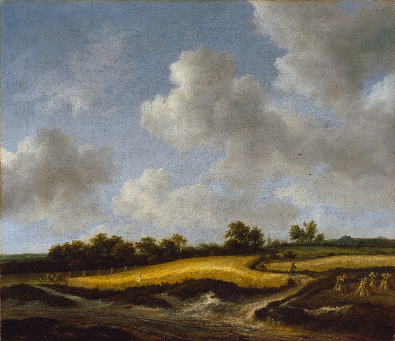 Landschap met een Korenveld, c.1660 door Jacob van Ruisdael