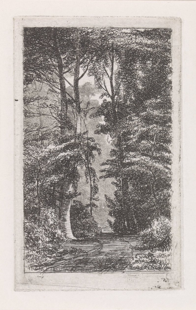 Boslaan door Jacob Jan van der Maaten