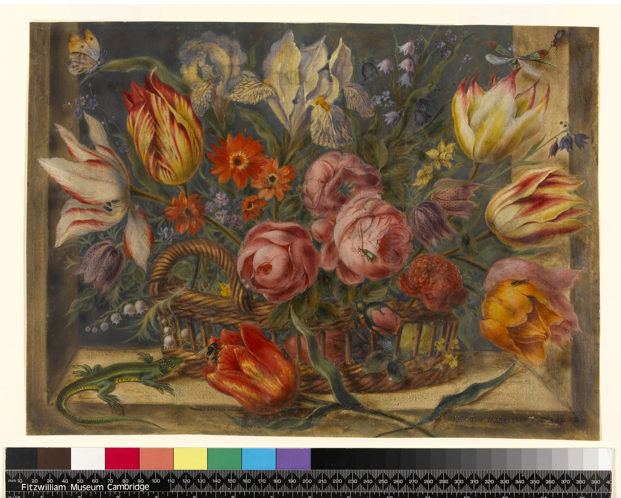 Bloemenstudie: diverse bloemen in een mand, met insecten en een hagedis in een raam, 1634 door Jacob Marrel