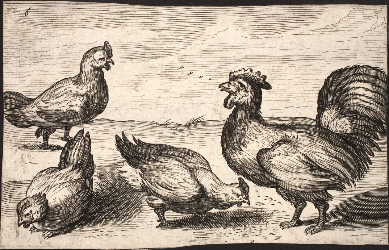 Een haan met drie hennen door Jacob Matham