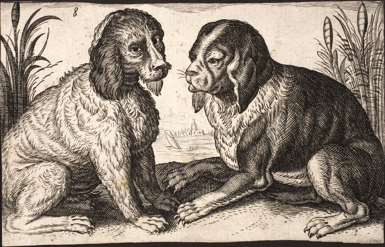Twee honden aan een meer door Jacob Matham