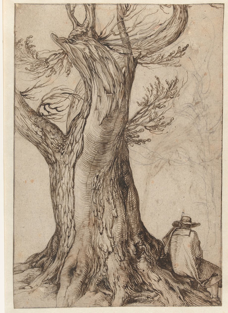 Kastanjeboom met man zittend op de wortels door Jacob de Gheyn (II)