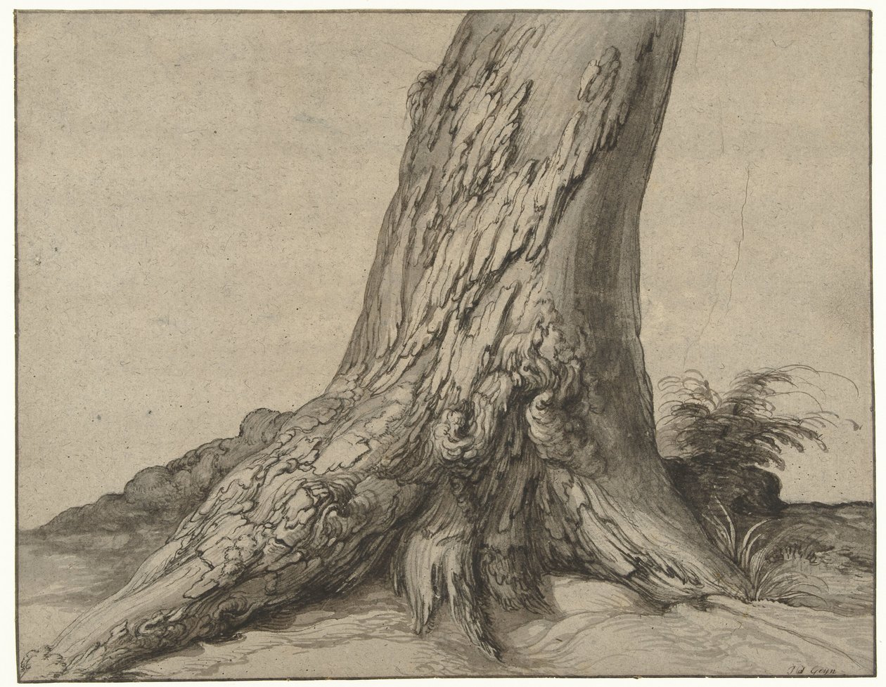 Studie van de stam van een boom met wortels door Jacob de Gheyn (II)