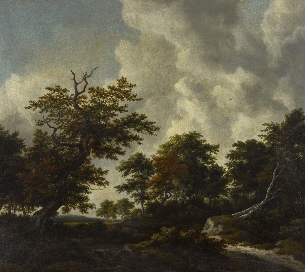 Bosachtig landschap met een grote eik en twee omgevallen beuken bij een waterval door Jacob van Ruisdael