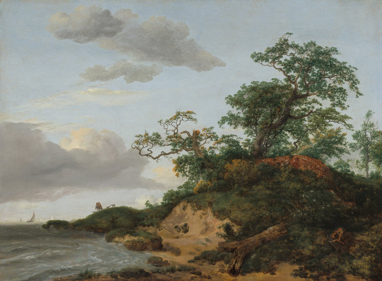 Duinen aan Zee door Jacob van Ruisdael