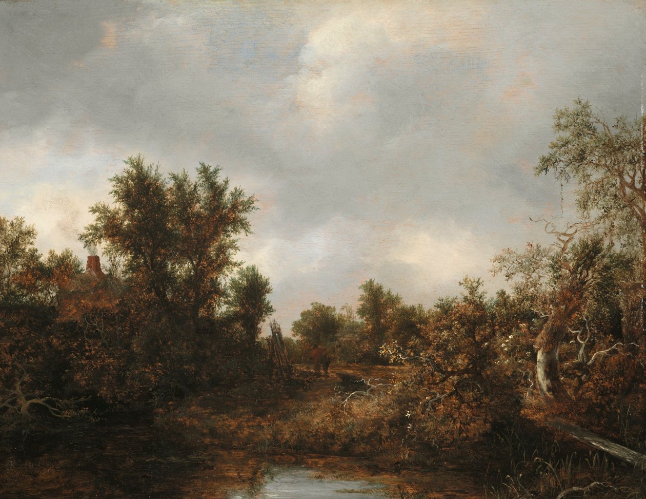 Landschap door Jacob van Ruisdael