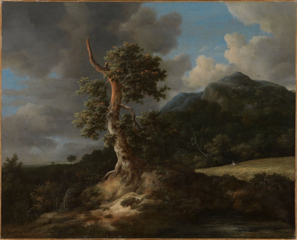 Berglandschap met een ontplofte eik door Jacob van Ruisdael