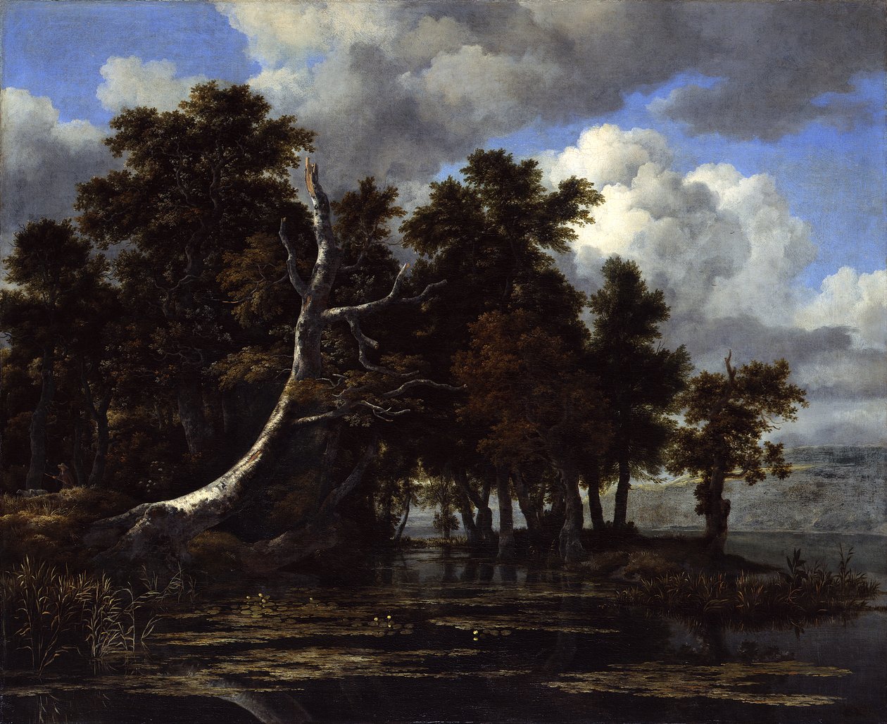 Eiken aan een meer met waterlelies door Jacob van Ruisdael