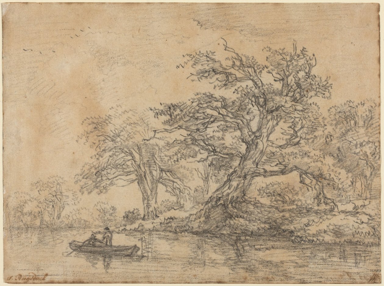 Oude bomen langs een oever door Jacob van Ruisdael