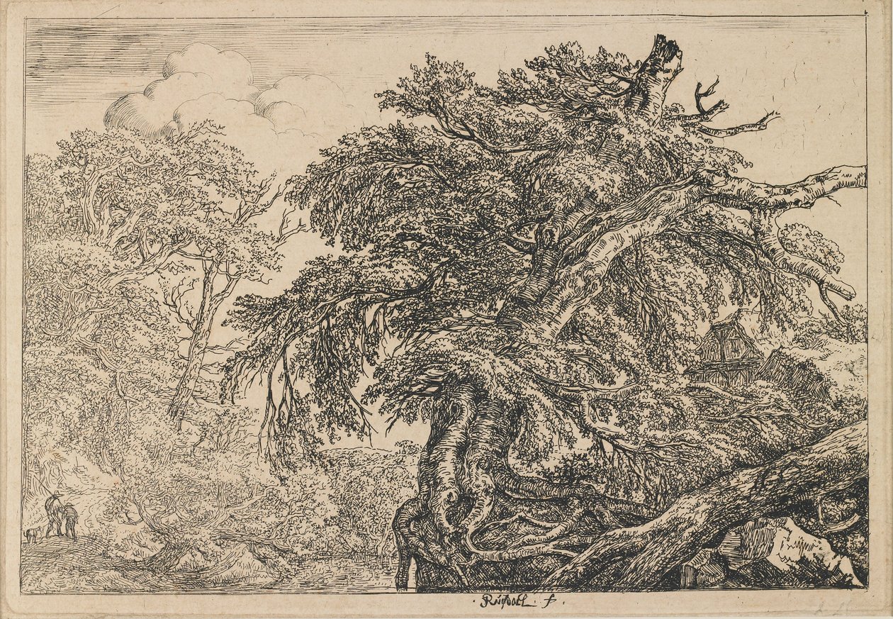 De grote beuk, met twee mannen en een hond door Jacob van Ruisdael