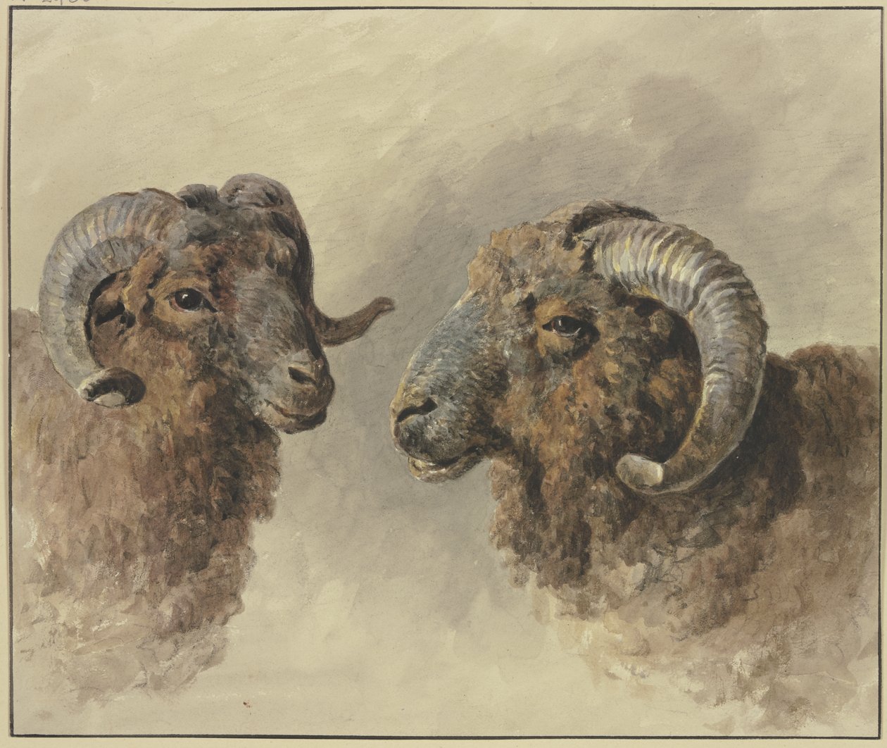 Twee schapen door Jacob van Strij