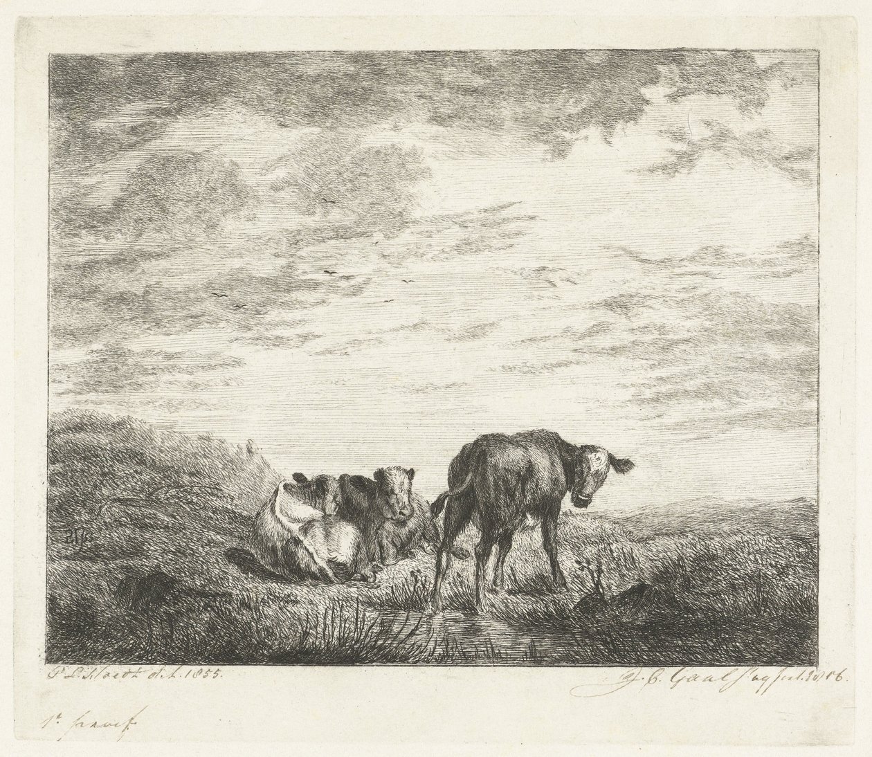 Drie kalveren door Jacobus Cornelis Gaal (signed by artist)