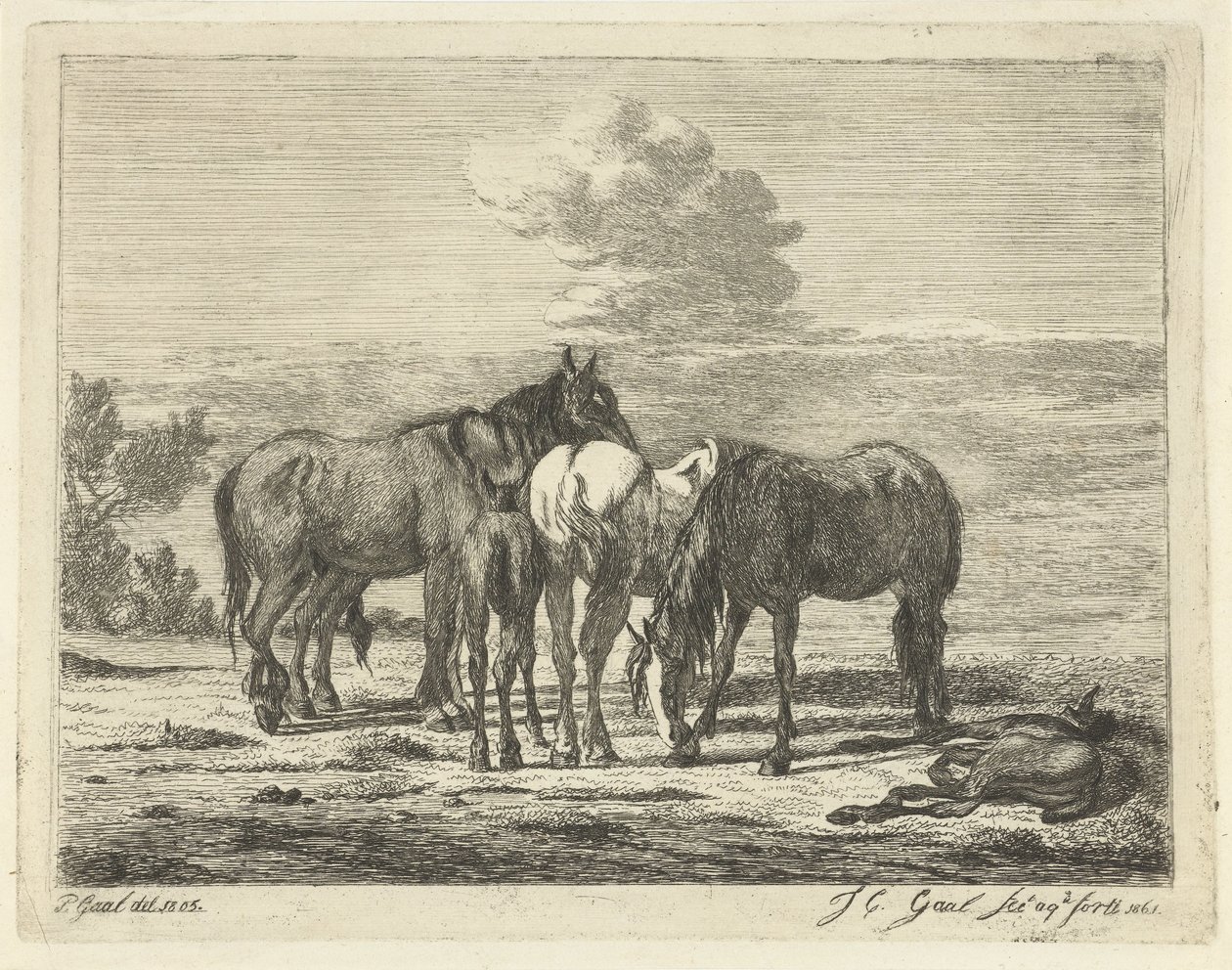Vier paarden en twee veulens door Jacobus Cornelis Gaal