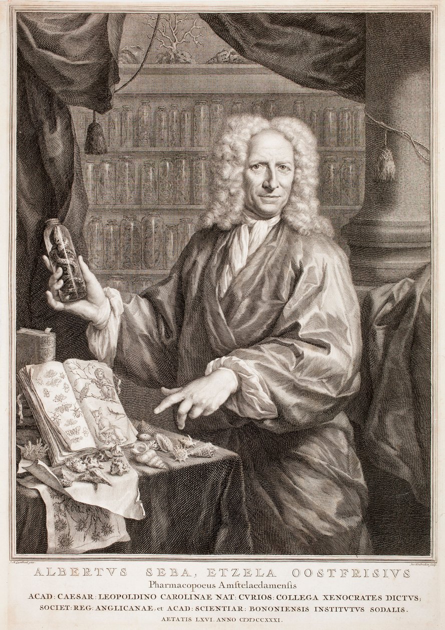 Portret van Albertus Seba, naar Jan Maurits Quinkhard door Jacobus Houbraken