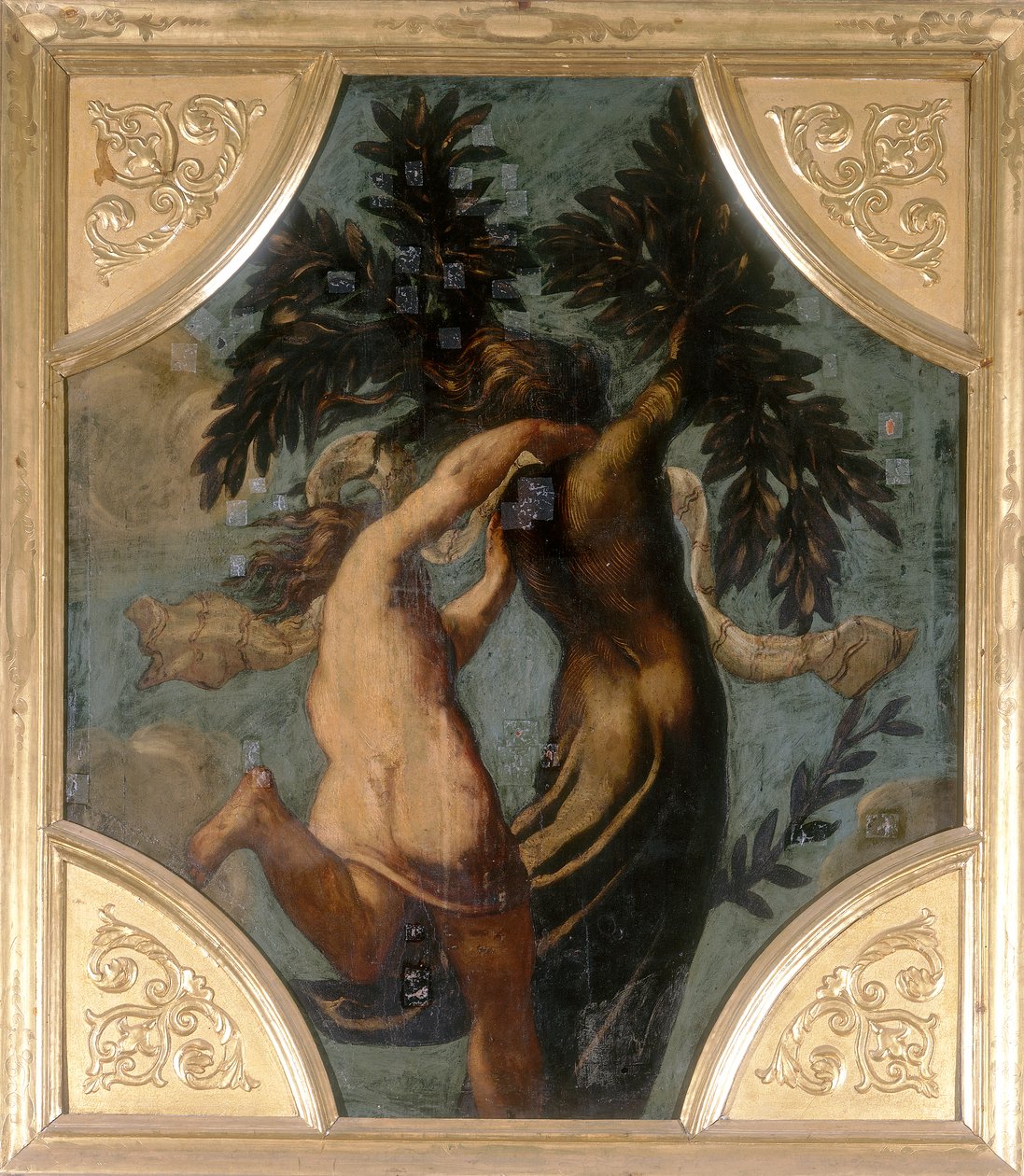 Apollo en Daphne, achthoek door Jacopo Robusti Tintoretto