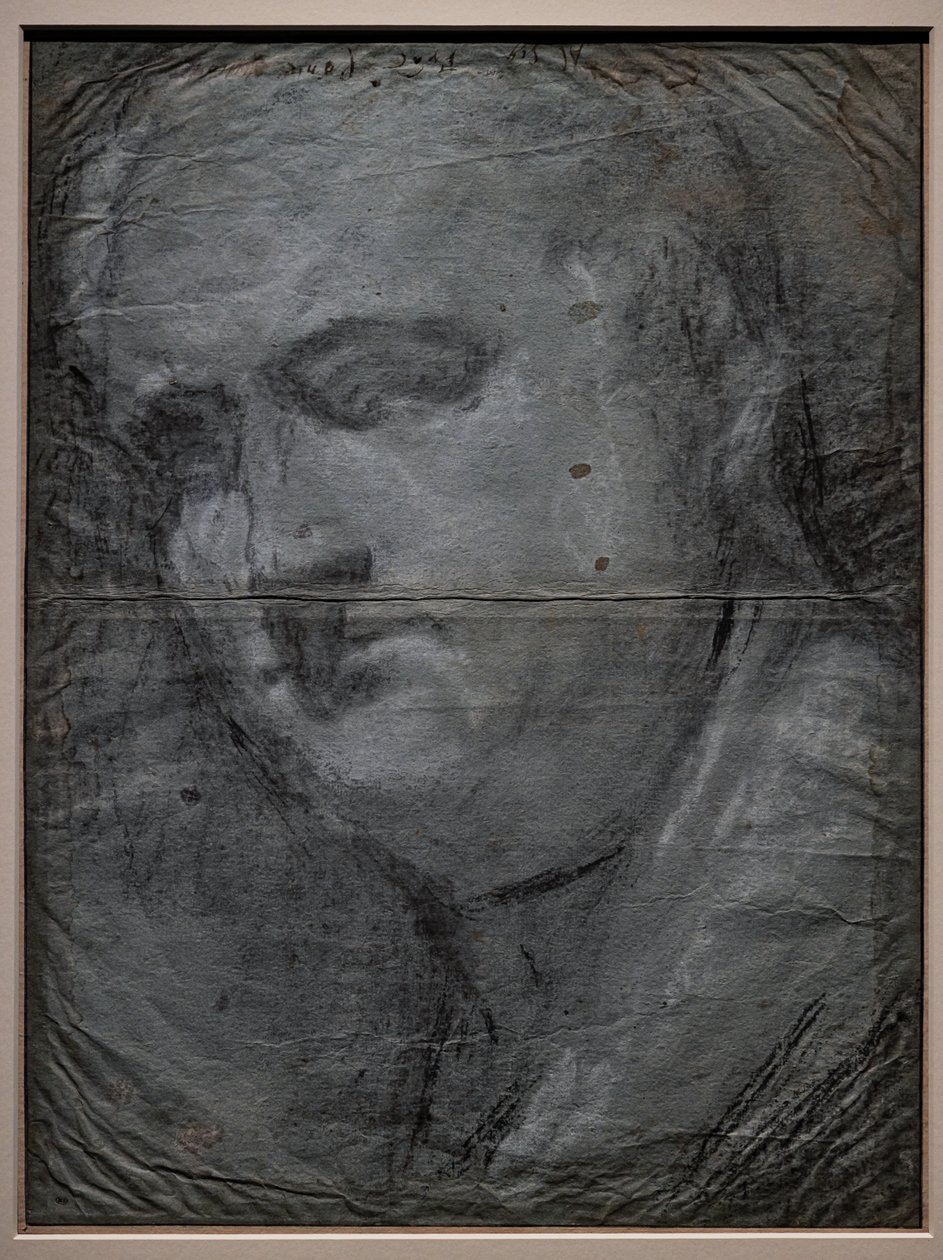 Portret van Vitellio Grimani door Jacopo (1510 92) Bassano