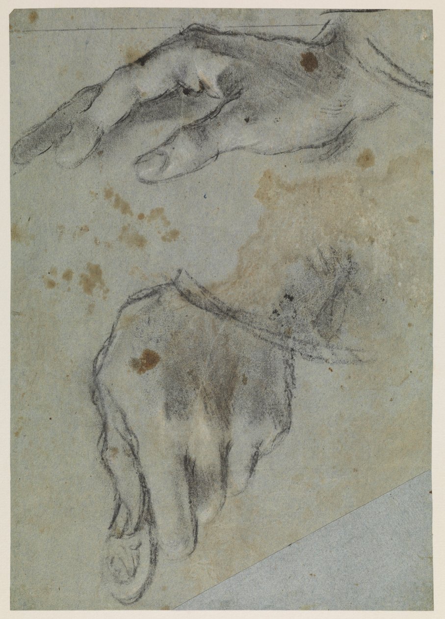 Studies van handen, recto, 16e eeuw door Jacopo Bassano
