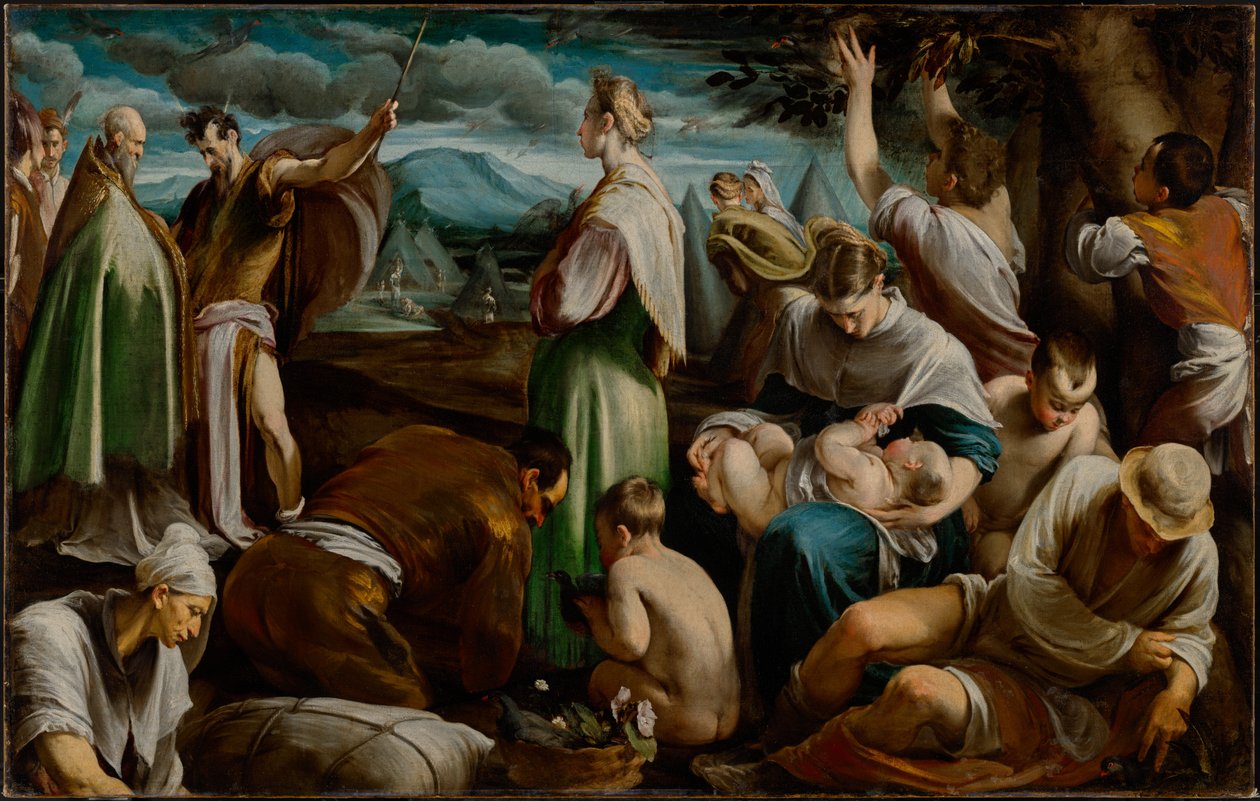 Het wonder van de kwartels door Jacopo Bassano