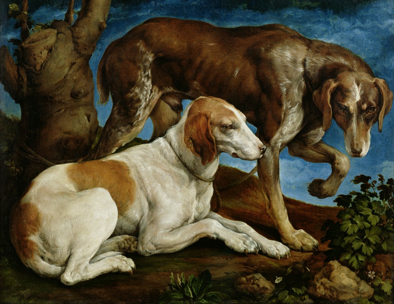 Twee jachthonden vastgebonden aan een boomstronk, c.1548-50 door Jacopo Bassano