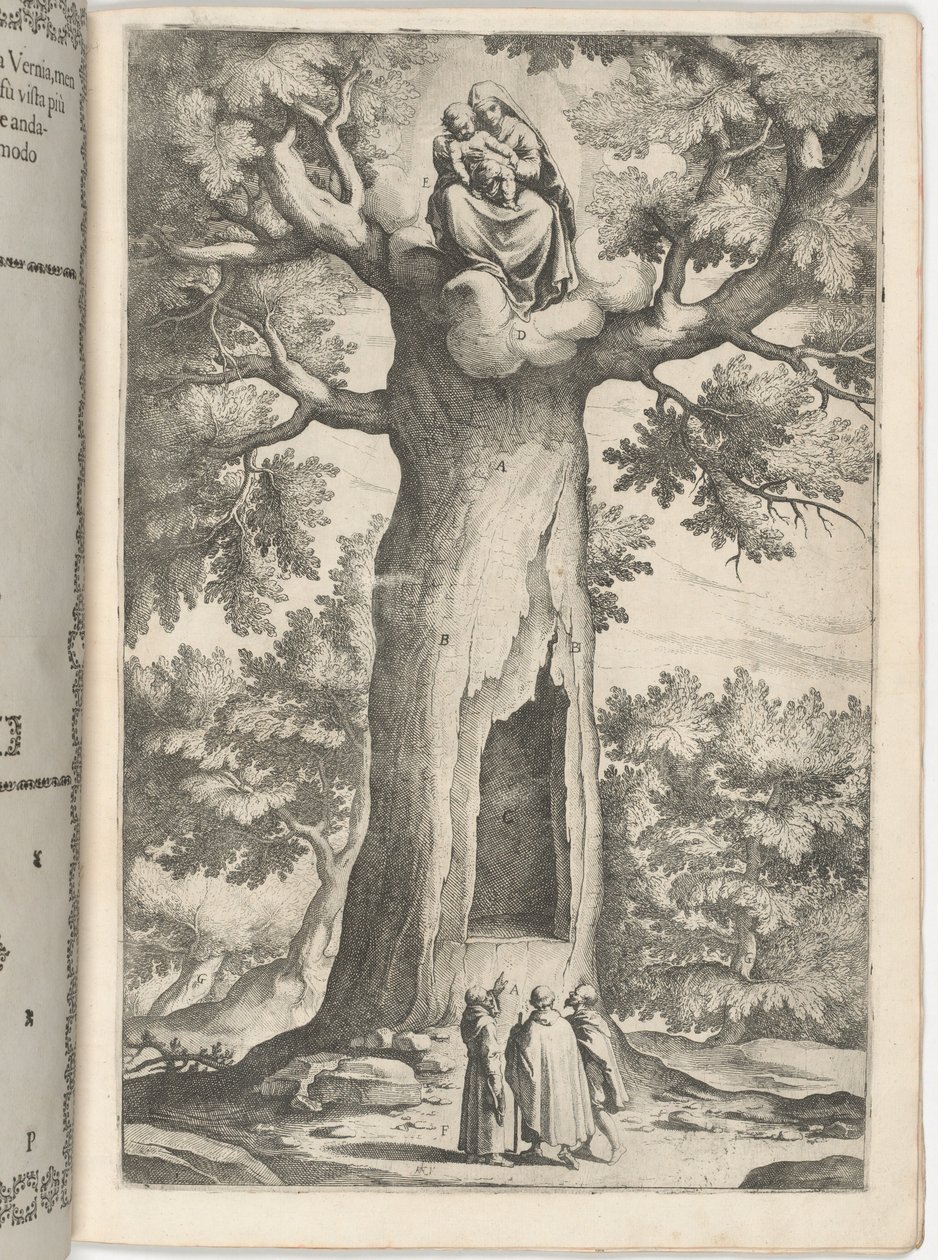 Verschijning van de Maagd in de beuk (Faggio dell