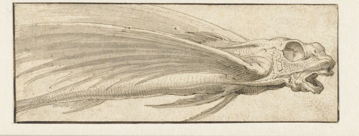 Vliegende vis door Jacopo Ligozzi