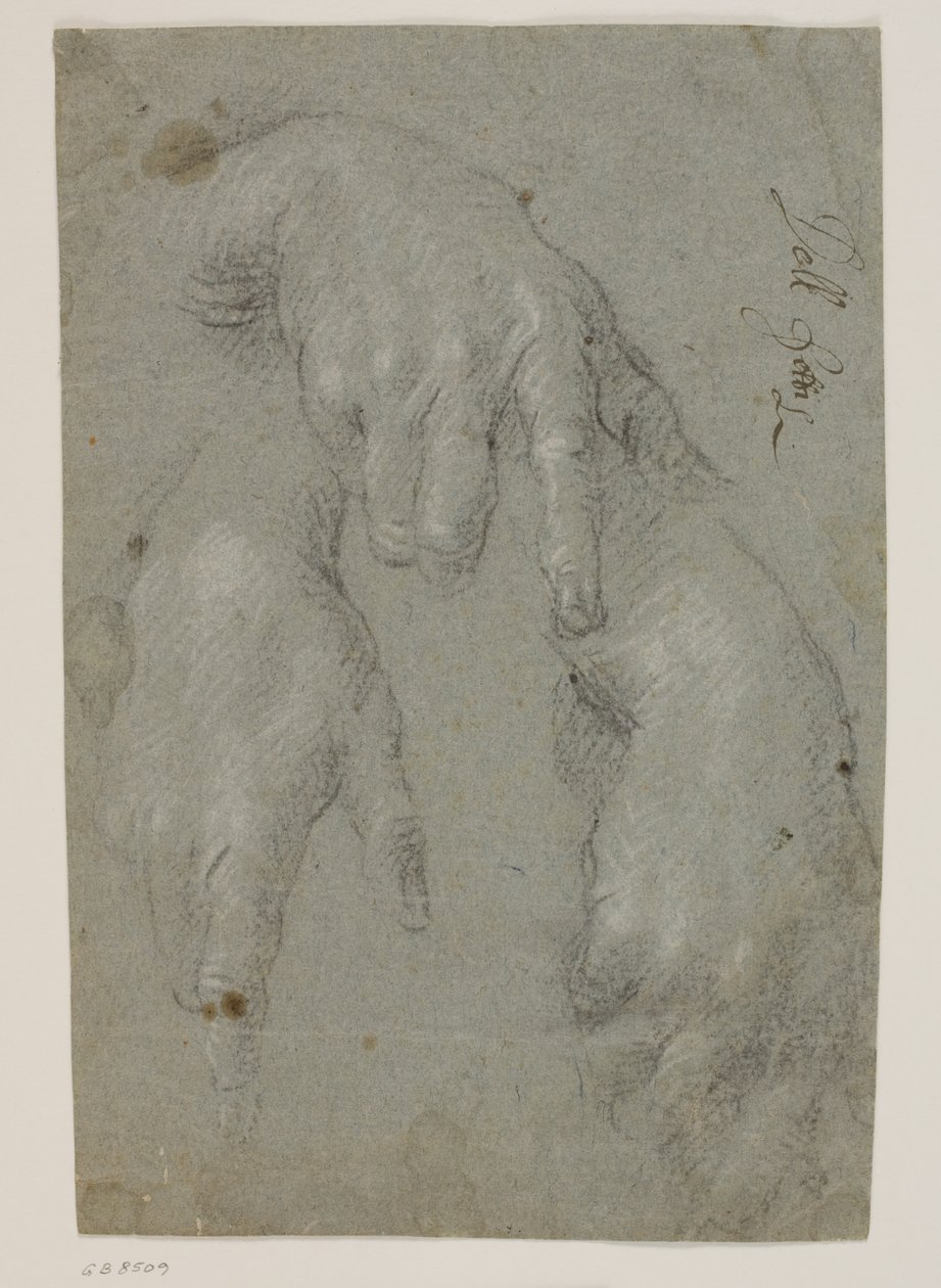 Drie studies van een rechterhand door Jacopo Palma