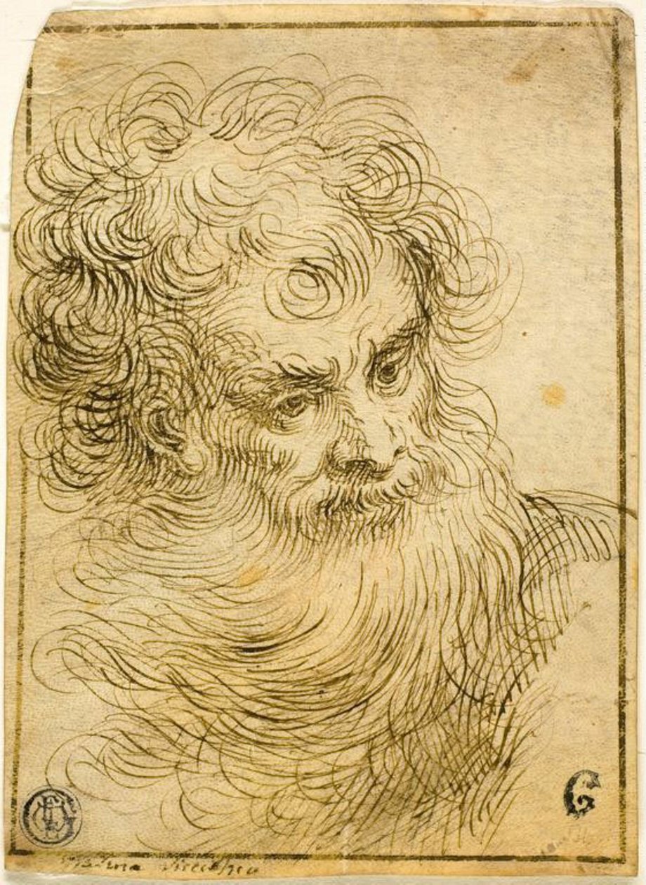 Hoofd van bebaarde oude man (recto); Decoratieve schets van bloem en bladeren (verso) door Jacopo Palma il Giovane