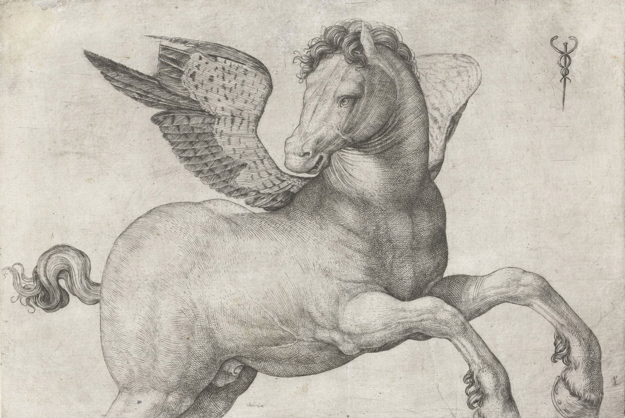 Pegasus, 1509-16 door Jacopo de Barbari