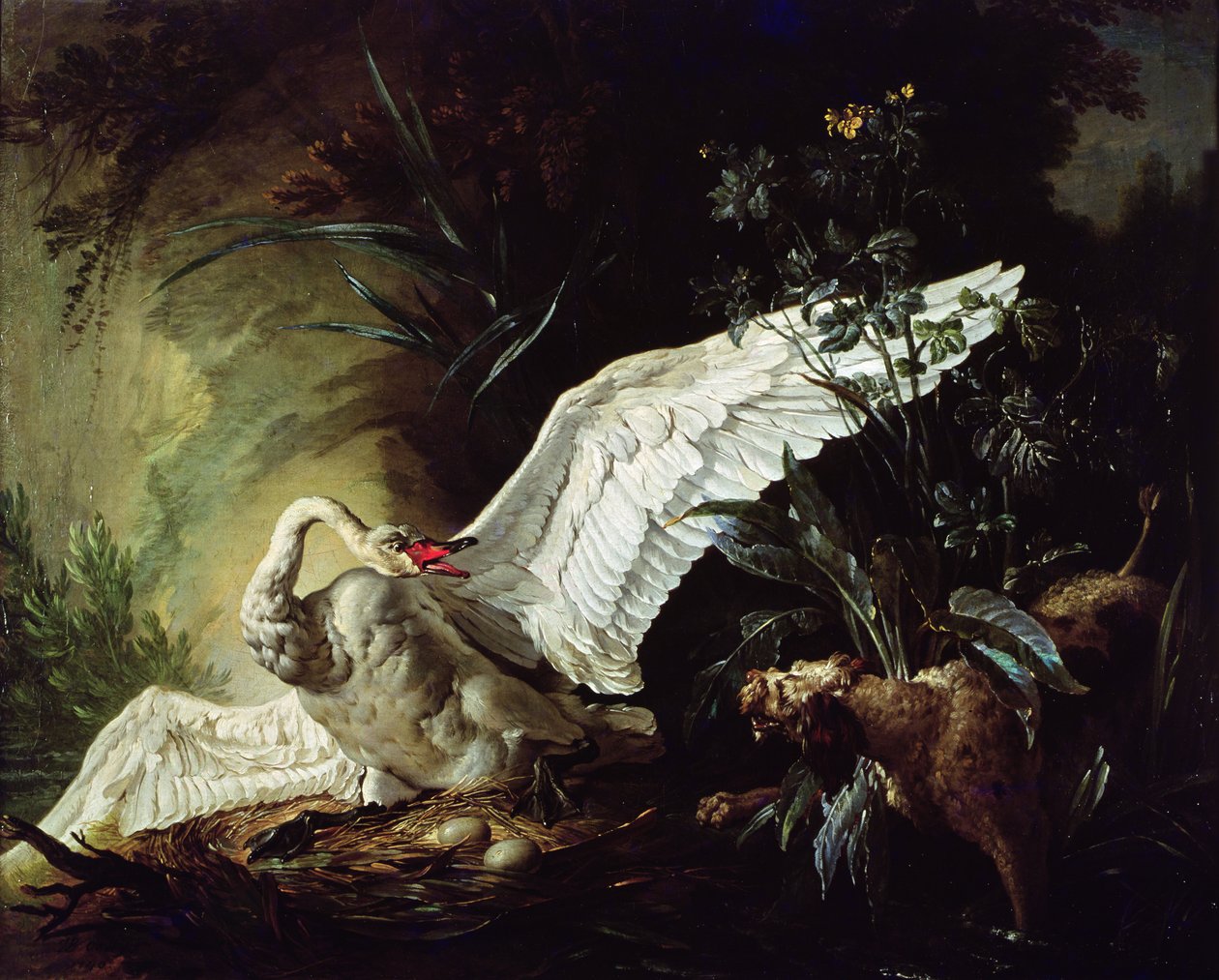 Een Waterspaniël die een Zwaan op zijn Nest Aanvalt, 1740 door Jacques Charles Oudry