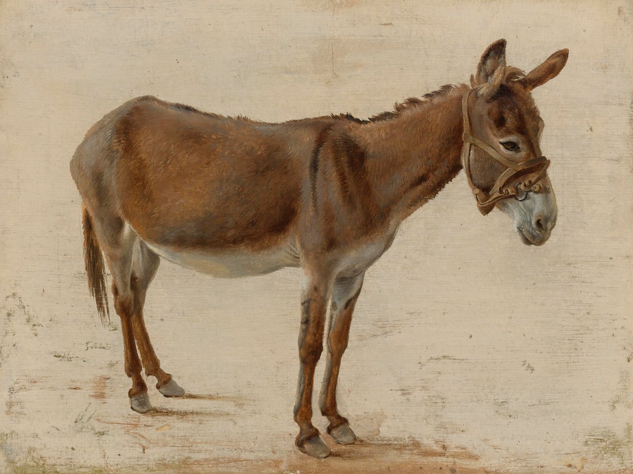 Een ezel door Jacques Laurent Agasse