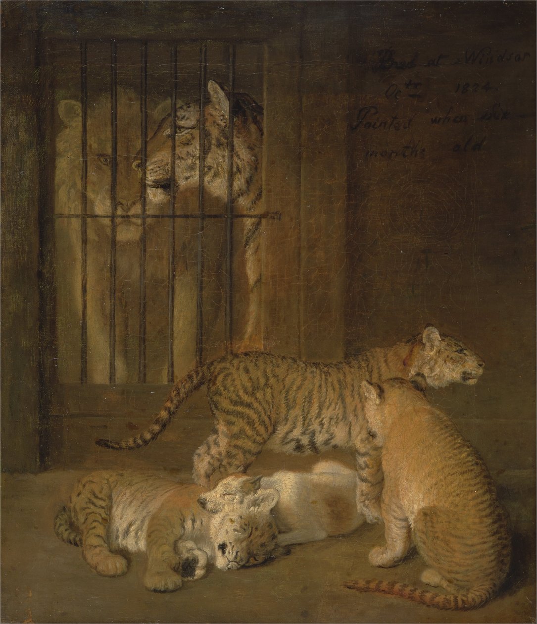 Groep welpen gefokt tussen een leeuw en een tijgerin door Jacques Laurent Agasse