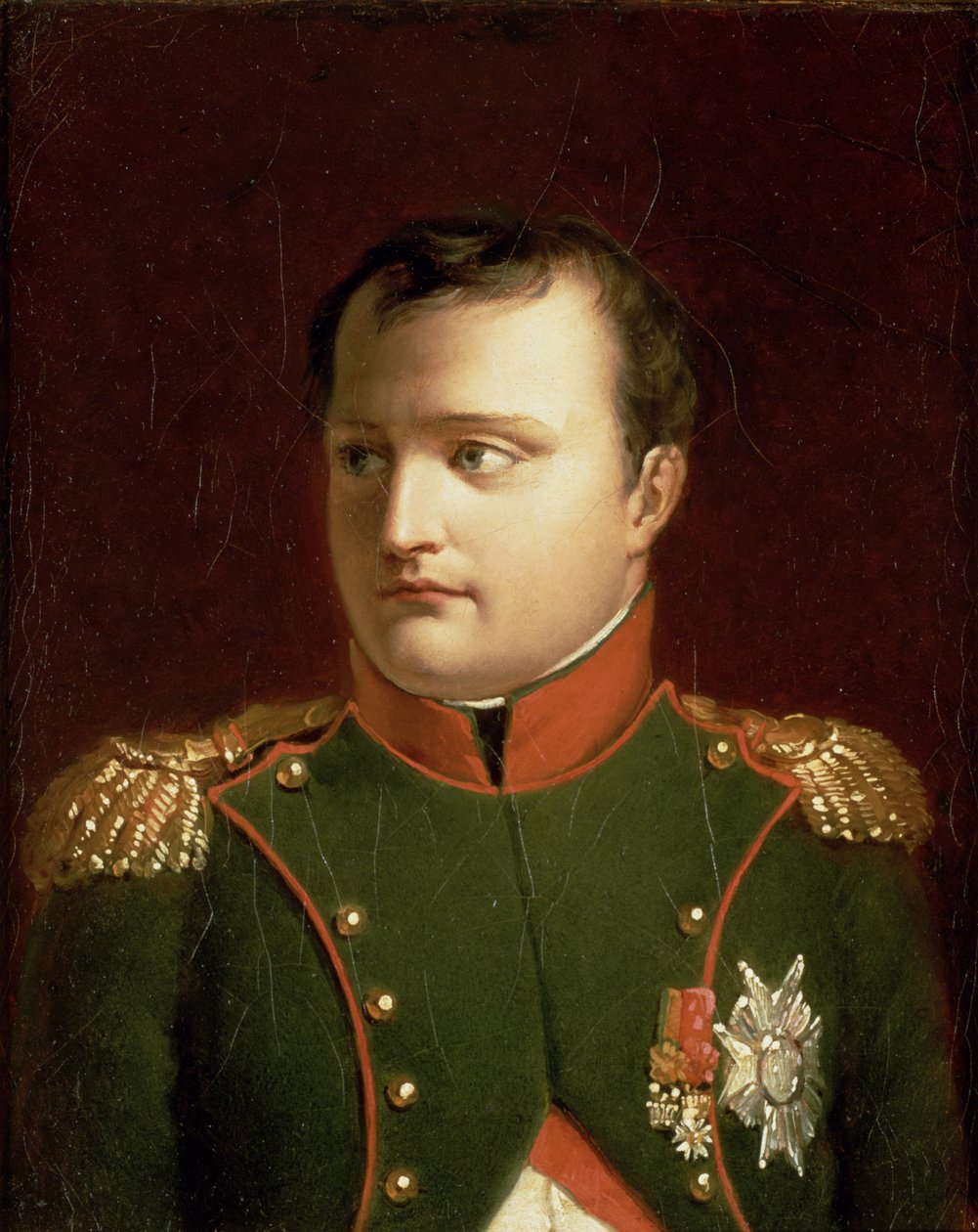 Napoleon Bonaparte (1769-1821) door Jacques Louis David