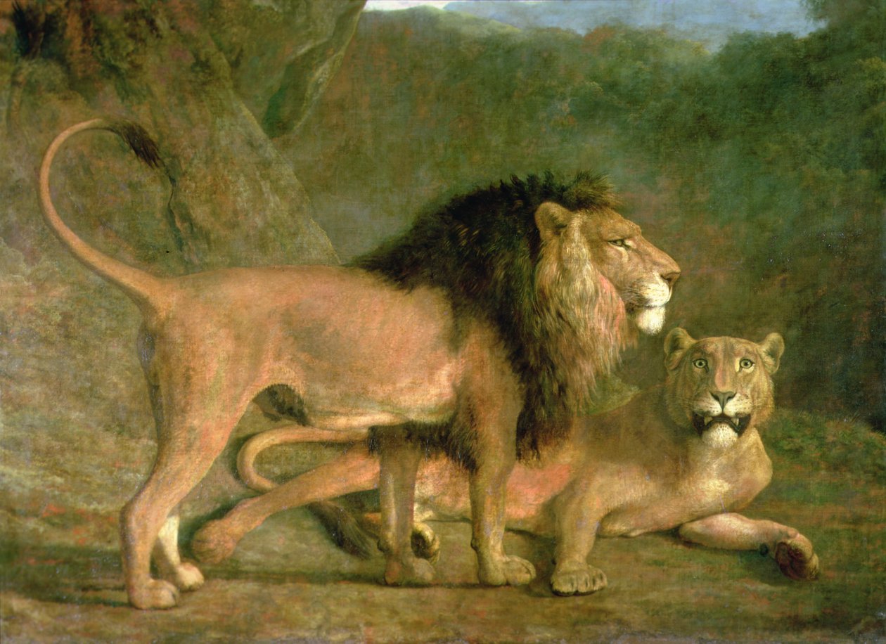Een leeuw en een leeuwin in een rotsachtige vallei door Jacques Laurent Agasse