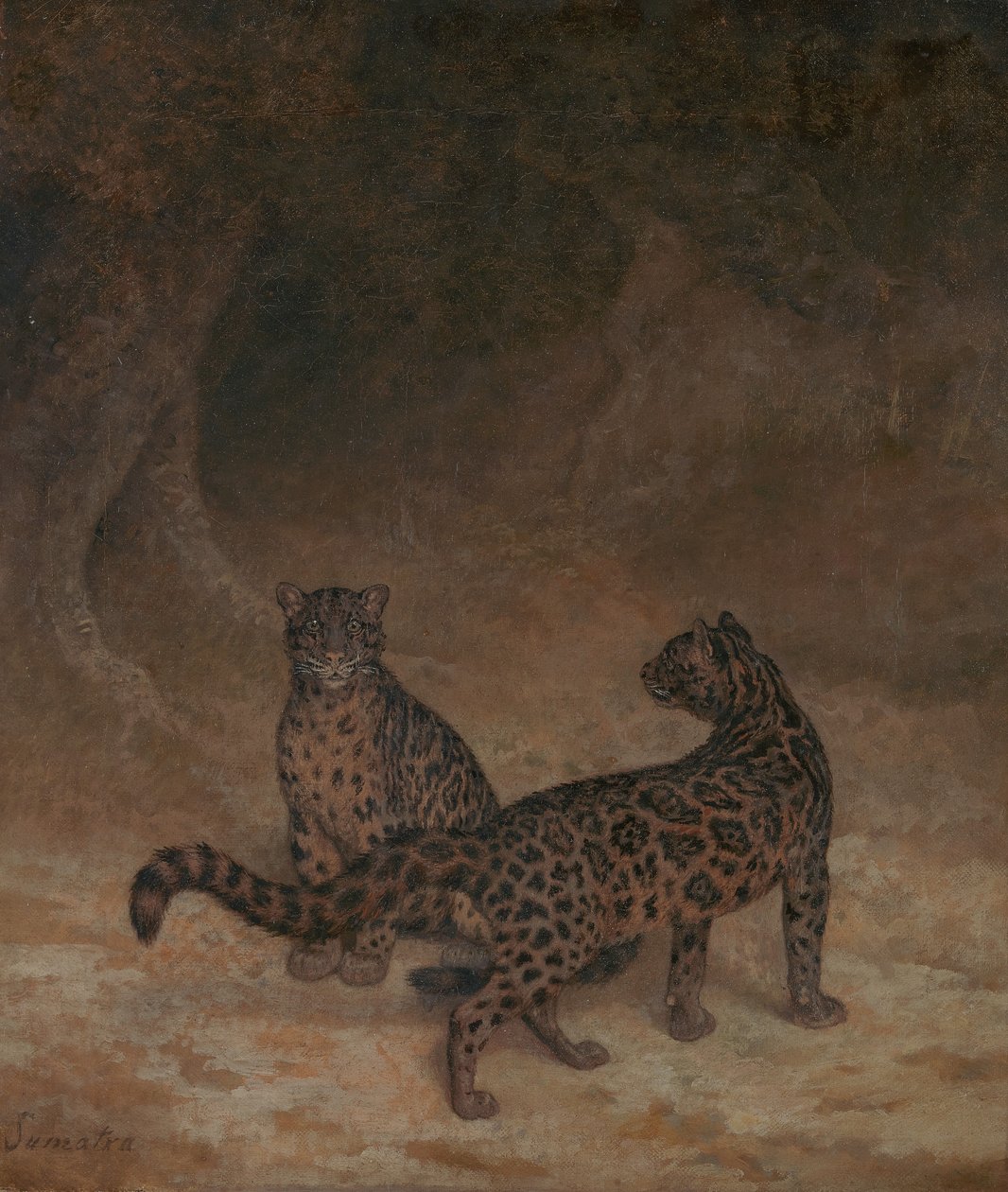 Nevelpanters door Jacques-Laurent Agasse